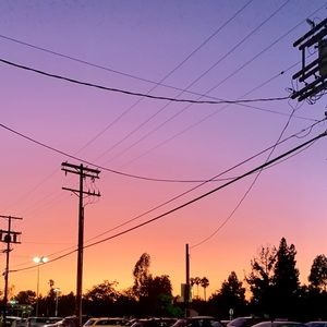 Meet your Posher, Stella